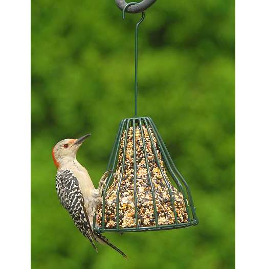 Songbird Birdie Bell Feeder w/Three Seed Bells
