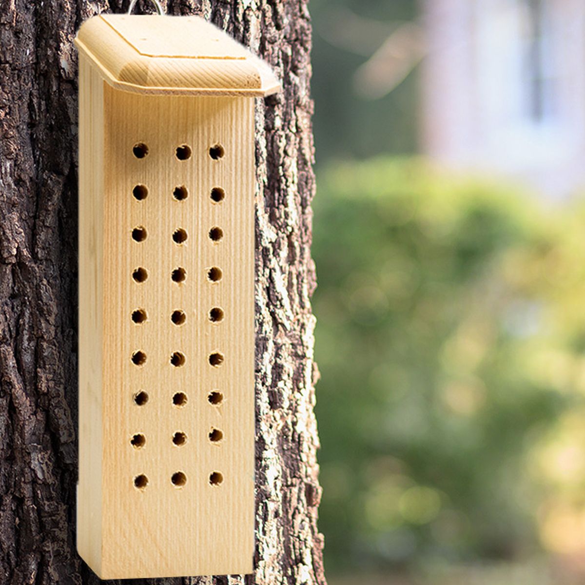Conservation Solitary Bee House