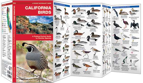 California Birds Pocket Naturalist Guide