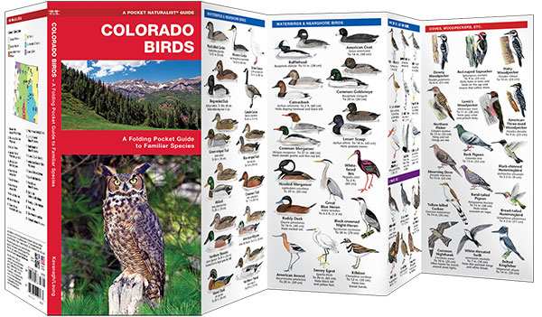 Colorado Birds Pocket Naturalist Guide