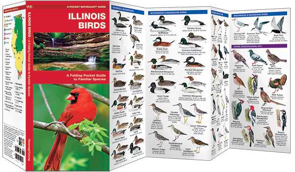 Illinois Birds Pocket Naturalist Guide
