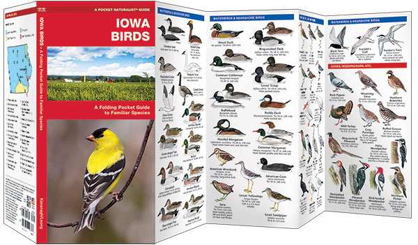 Iowa Birds Pocket Naturalist Guide