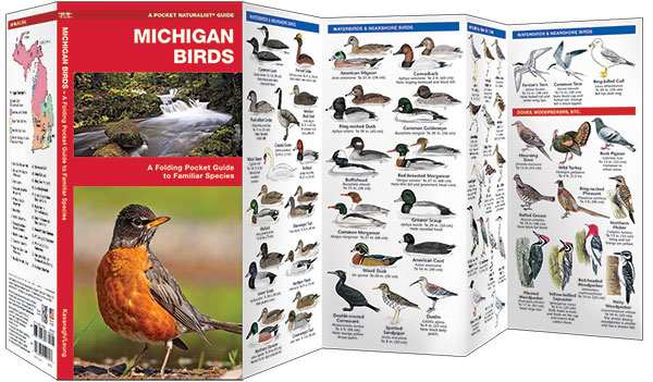 Michigan Birds Pocket Naturalist Guide