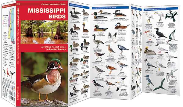 Mississippi Birds Pocket Naturalist Guide