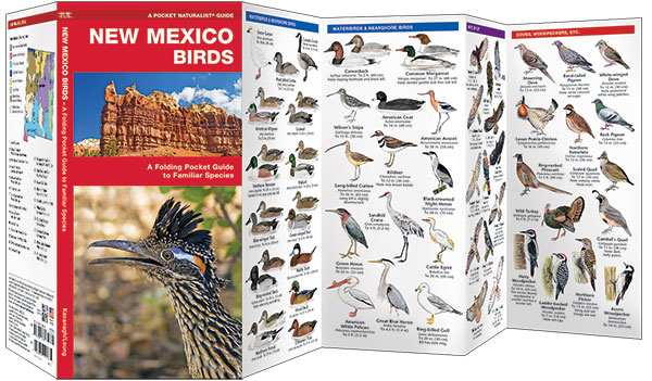 New Mexico Birds Pocket Naturalist Guide