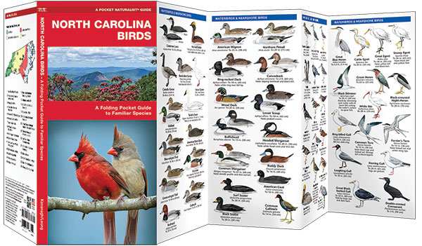 North Carolina Birds Pocket Naturalist Guide