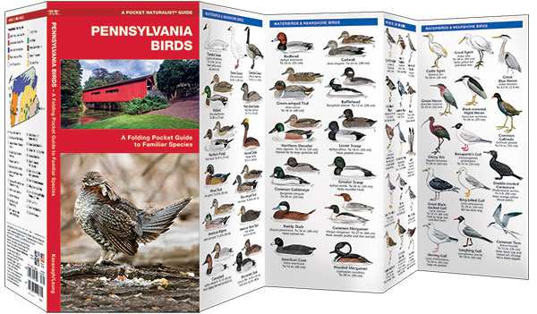 Pennsylvania Birds Pocket Naturalist Guide
