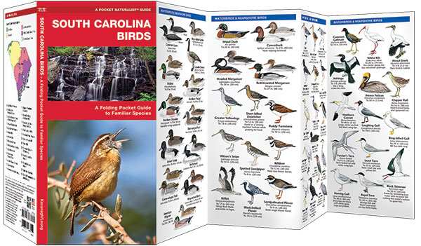 South Carolina Birds Pocket Naturalist Guide