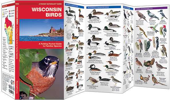 Wisconsin Birds Pocket Naturalist Guide