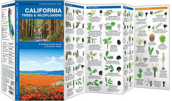 California Trees & Wildflower Naturalist Guide