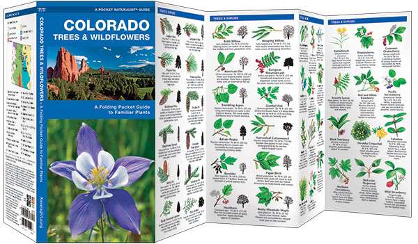 Colorado Trees & Wildflowers Naturalist Guide
