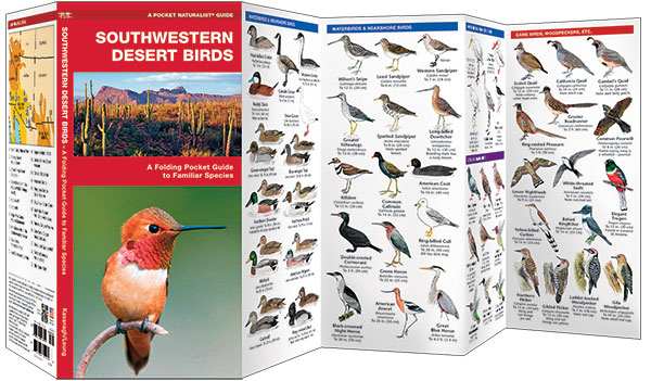 Southwestern Desert Birds Pocket Naturalist Guide