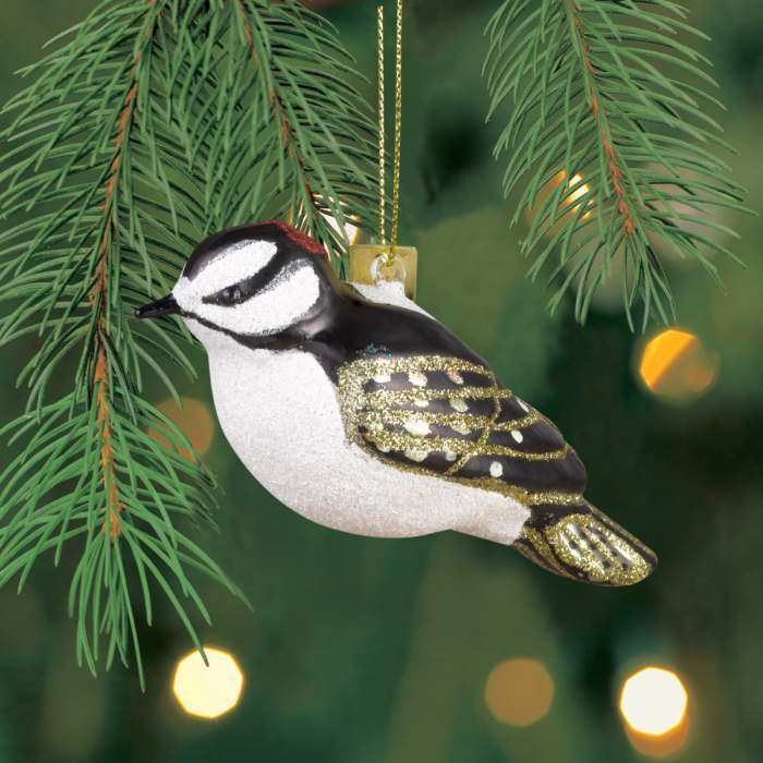 Blown Glass Bird Ornament Downy Woodpecker