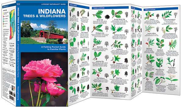 Indiana Trees & Wildflowers Naturalist Guide