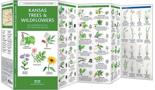 Kansas Trees & Wildflowers Naturalist Guide