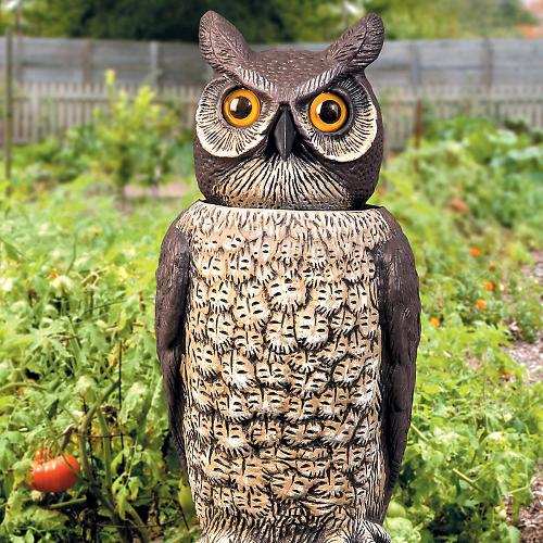 Solar Action Rotating-Head Owl Scarecrow