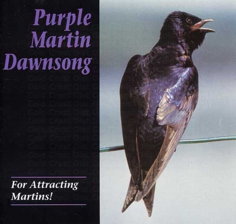 Purple Martin Dawn Song Attractor CD