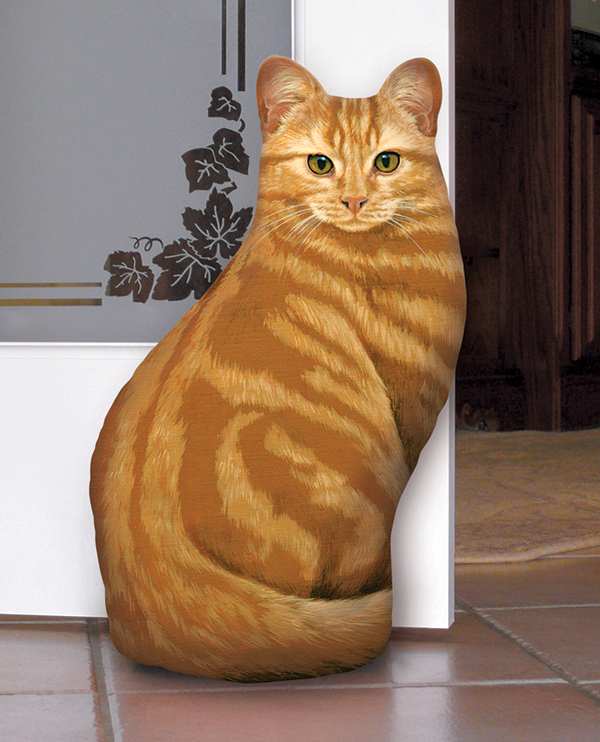 orange striped cat