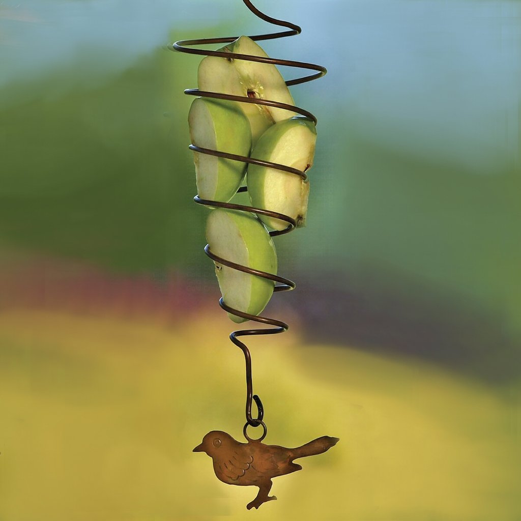 Fruit Spear Spiral w/Bird Design Set of 2
