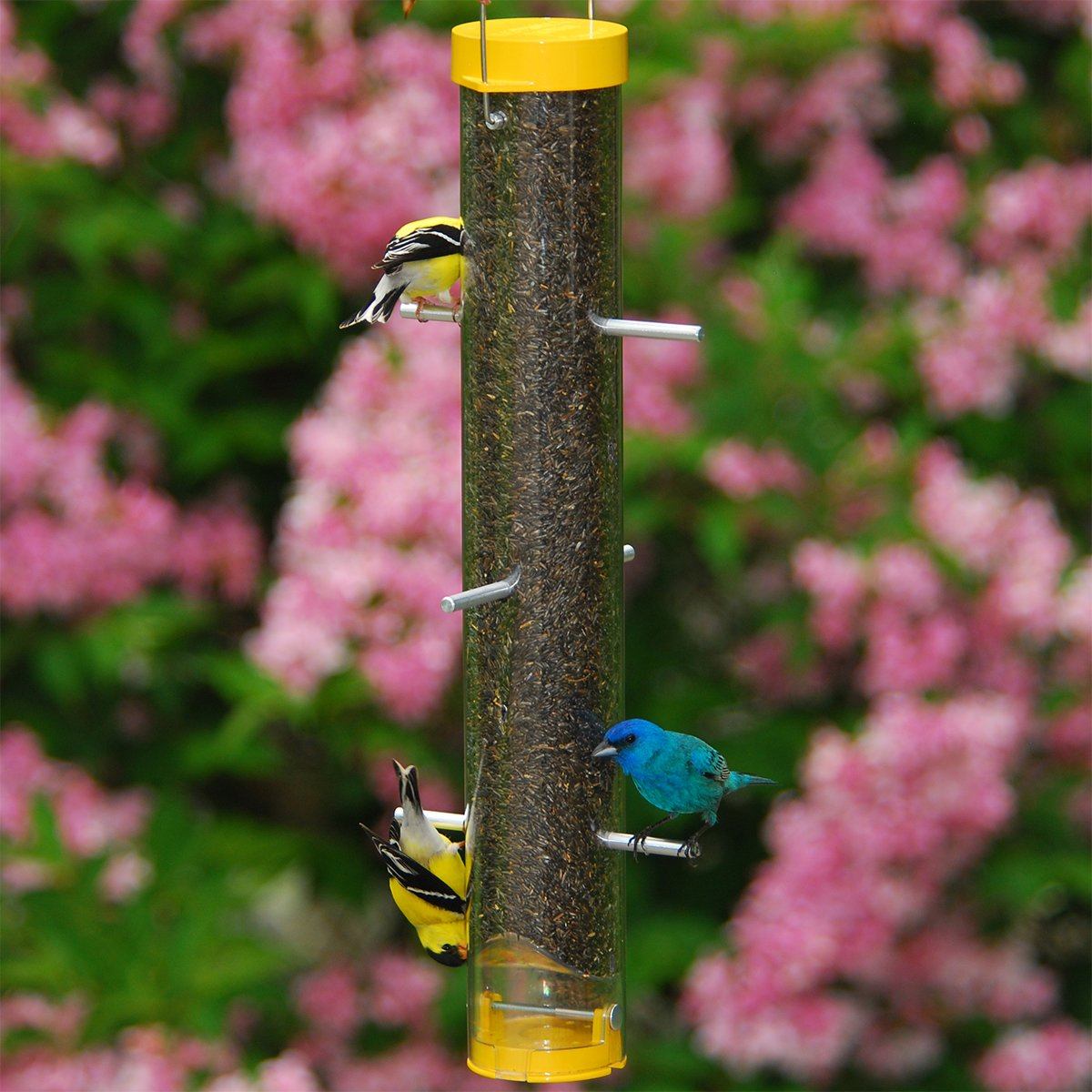 Droll Yankees Bottoms Up Finch Feeder 16