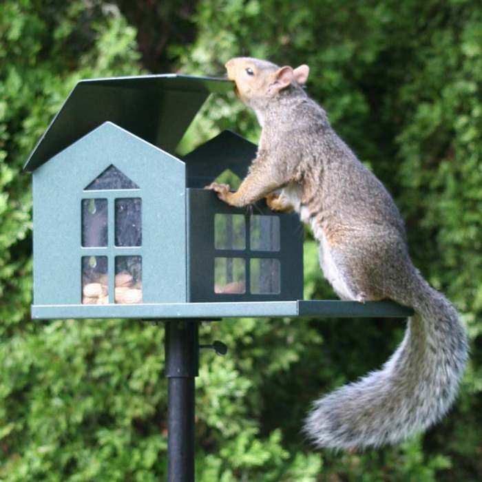 Food Pantry Metal Squirrel Feeder Handcrafted Metal Squirrel
