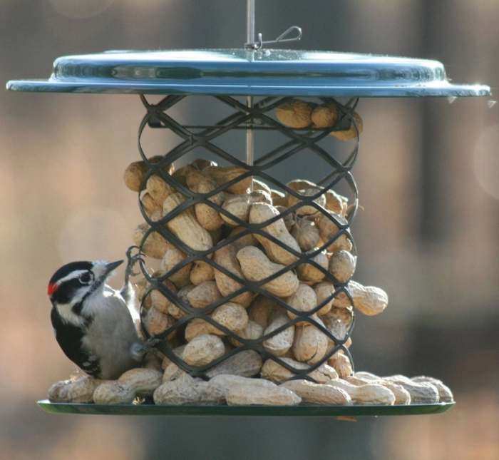 Magnet Mesh Whole Peanut In The Shell Feeder