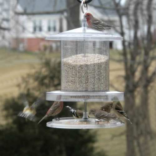 All Weather 6 Quart Weatherproof Bird Feeder