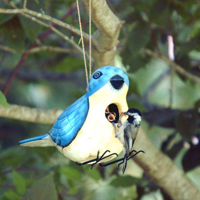 For The Birds Eastern Bluebird Bird House