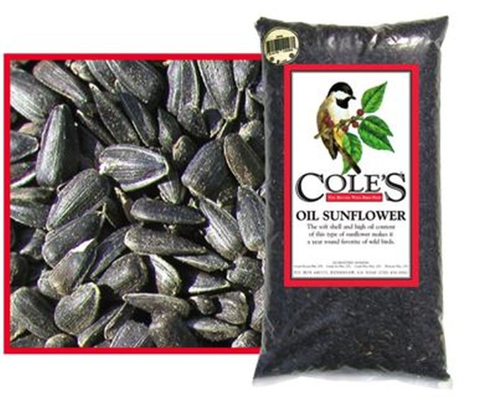 Cole's Black Oil Sunflower Bird Seed 32#