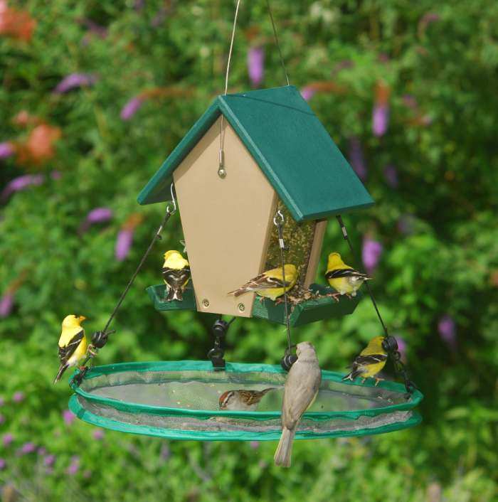 Recycled Plastic Small Hopper w/Seed Hoop 16