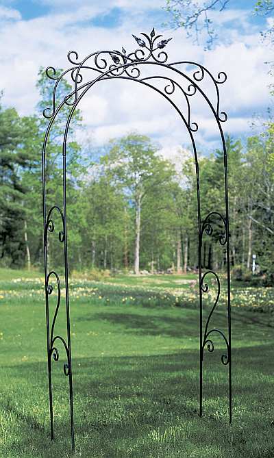 Tuileries Garden Arbor