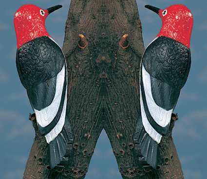 Red-Headed Woodpecker Tree Ornament Set of 2