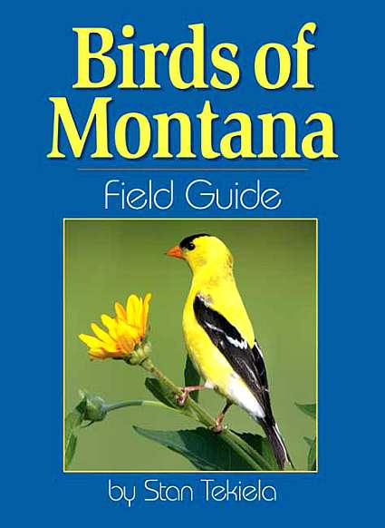 Birds of Montana Field Guide