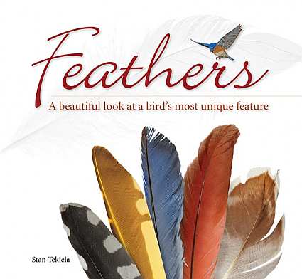 Feathers, A Book About Bird Feathers