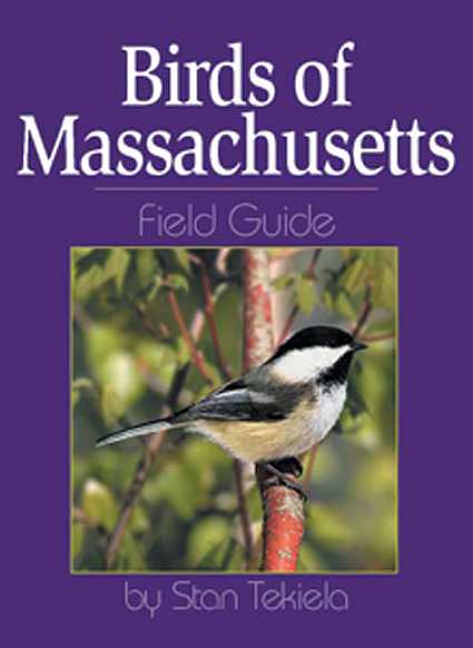 Birds of Massachusetts Field Guide