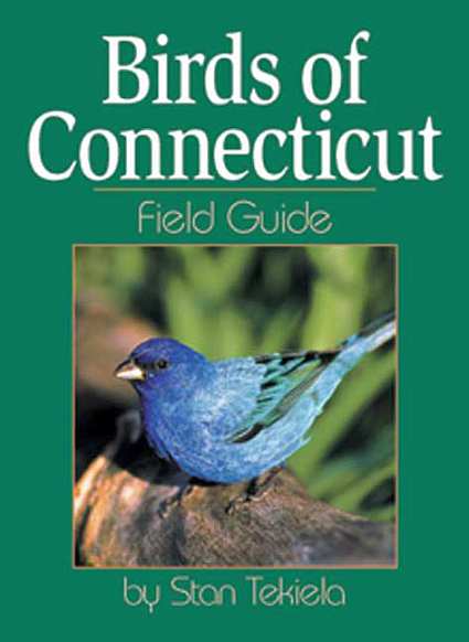 Birds of Connecticut Field Guide