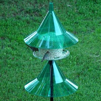 Sky Cafe Green Squirrel-Proof Feeder w/Pole Baffle