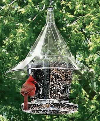 Mandarin Squirrel Proof Bird Feeder With Dividers Squirrel Proof