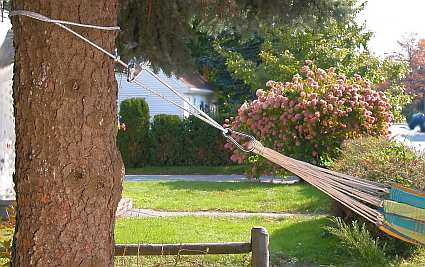 SmartRope Hammock Rope