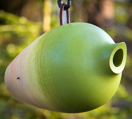Mango Tree Collection Helmet Bird Home Green