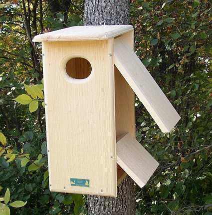 Conservation Common Merganser Duck House Merganser Duck Nesting Box