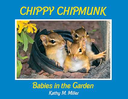 Chippy Chipmunk Babies in the Garden