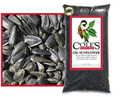 Cole's Black Oil Sunflower Bird Seed 8#