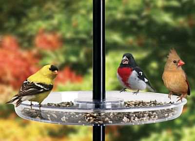 Droll Yankees Universal Seed Tray Bird Feeder Seed Tray Ground