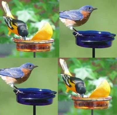 Scalloped Glass Dish Stake Feeder Twin Pack