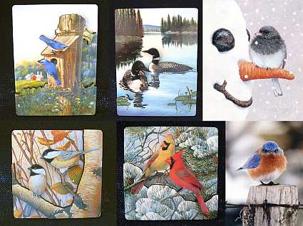 Songbird 3D Magnet Collection Set of 6