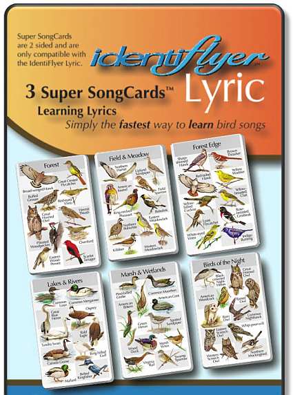 Identiflyer Lyric 3 Super SongCard Set