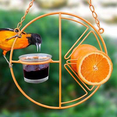 Clementine Fruit and Jelly Oriole Feeder
