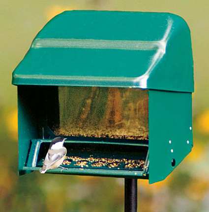 Super Stop A Squirrel Bird Feeder Quality Crafted Squirrel Proof