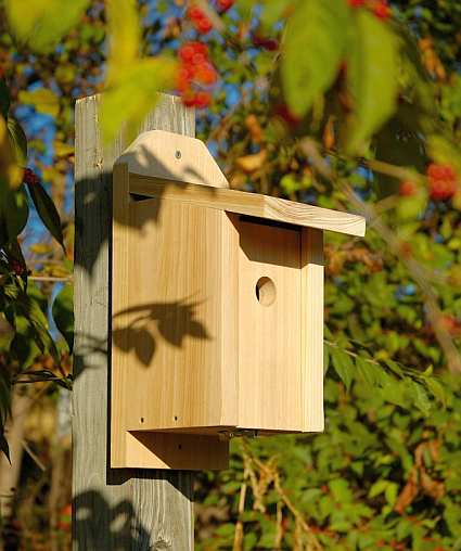 Cypress Joy Box For Chickadees